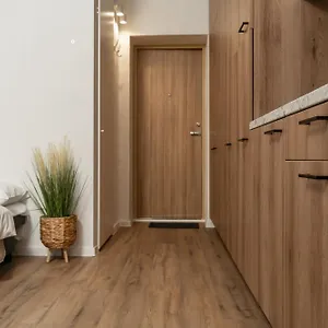 Air 210 Apartment Vilnius