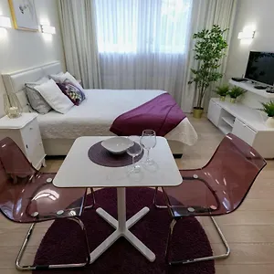 Apartment Raugyklos G. *